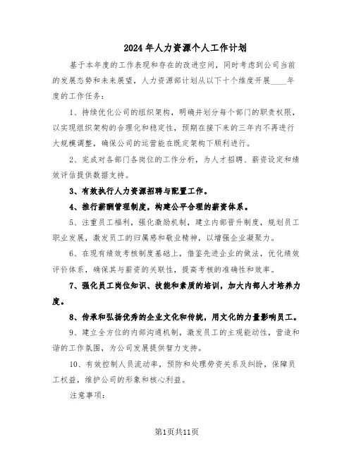 2024年人力资源个人工作计划（五篇）