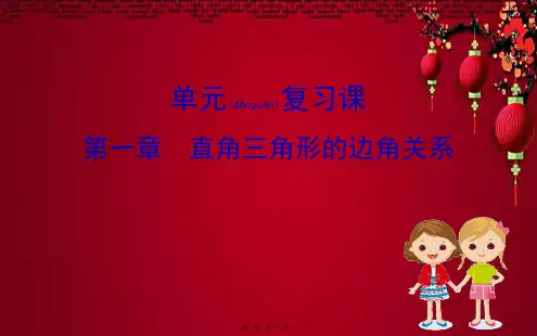 九年级数学下册 第一章 直角三角形的边角关系单元复习课课件 北师大下册数学课件