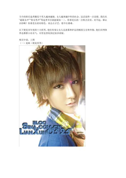 2010年度中国10大妖男