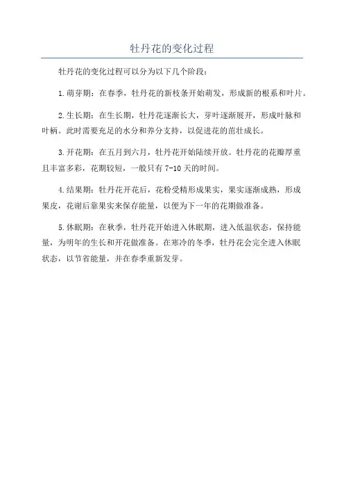 牡丹花的变化过程