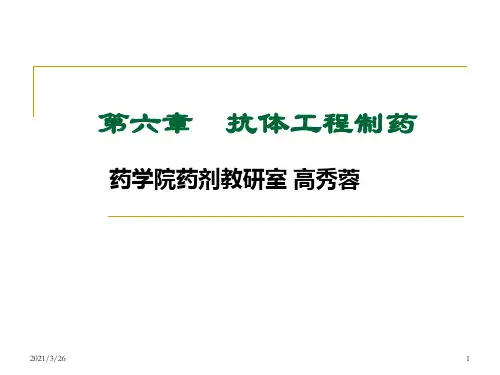 《抗体工程制药》PPT课件