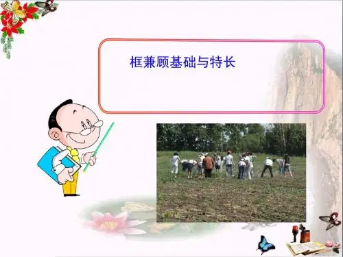 兼顾基础与特长ppt优秀课件1