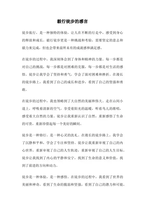 毅行徒步的感言