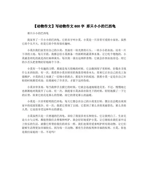 【动物作文】写动物作文600字 那只小小的巴西龟