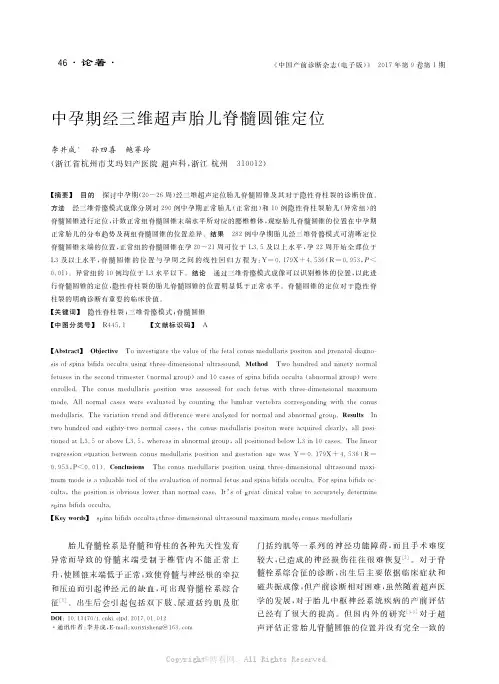 中孕期经三维超声胎儿脊髓圆锥定位