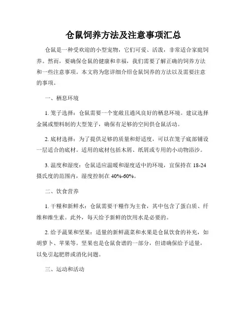 仓鼠饲养方法及注意事项汇总