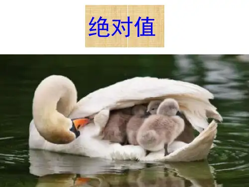 七年级数学上册：1.2.4绝对值(共26张PPT)