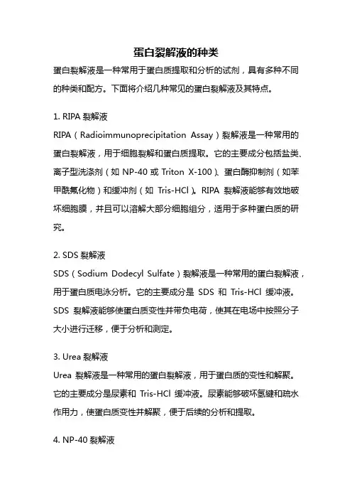 蛋白裂解液的种类