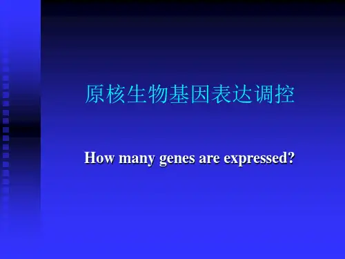 原核生物基因表达调控-PPT课件