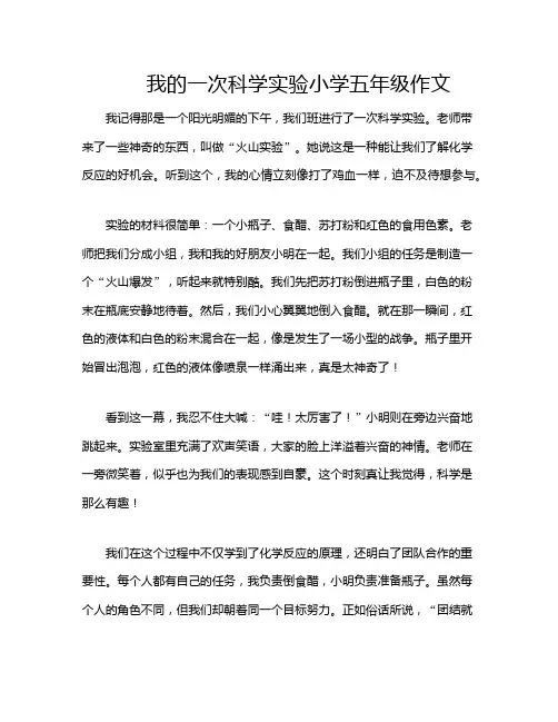 我的一次科学实验小学五年级作文