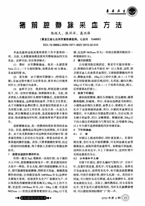 猪前腔静脉采血方法