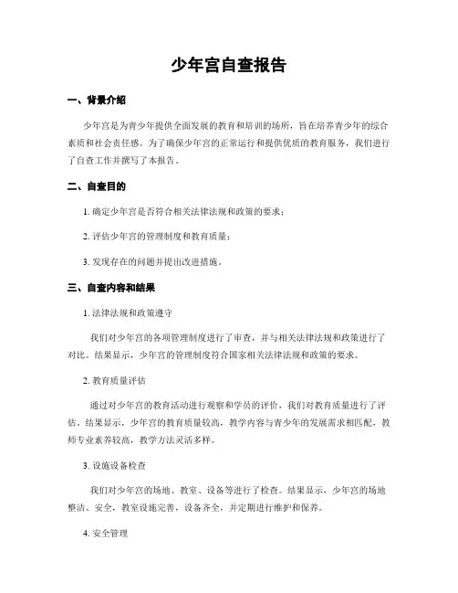 少年宫自查报告