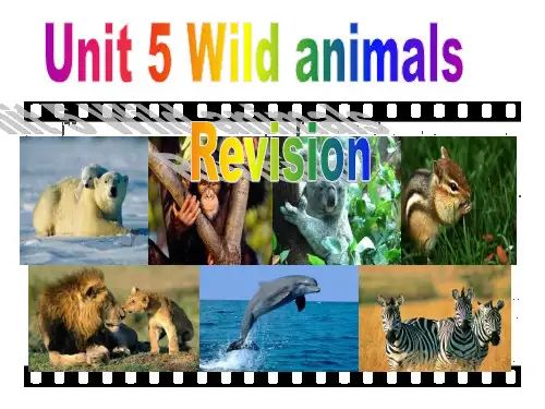 牛津译林版八年级英语上册Unit5 Wild animals 复习课件(共90张PPT)