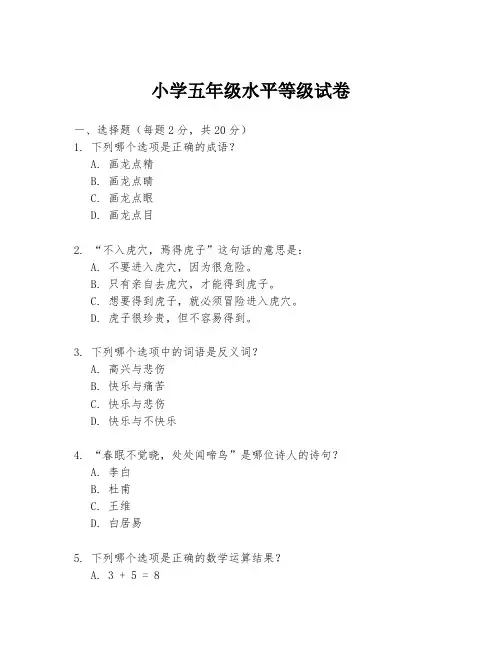 小学五年级水平等级试卷