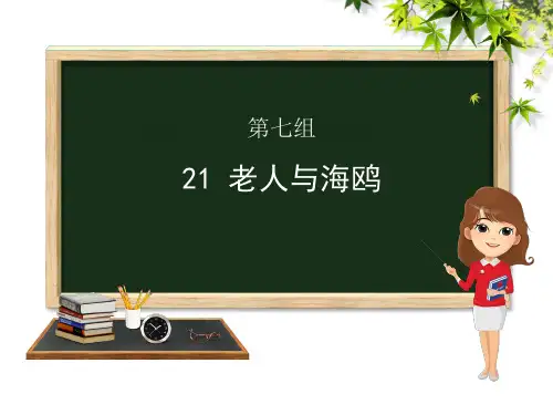 人教新课标六年级语文上册《第21课老人与海鸥》课件