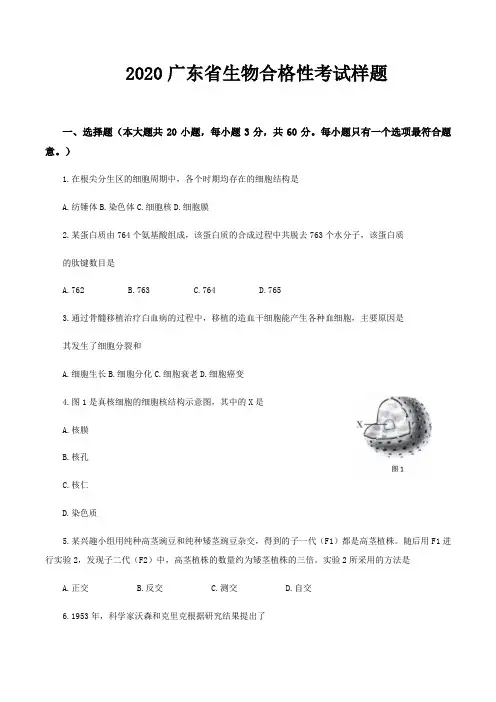 2020广东省生物合格性考试样题(含答案)