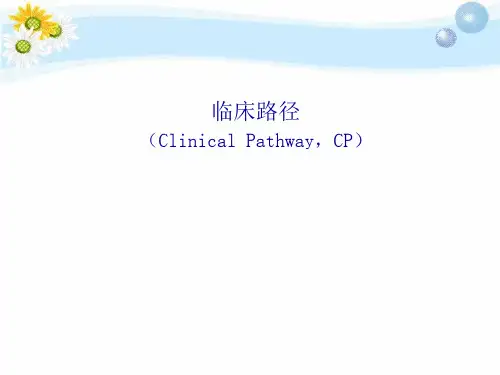 临床路径PPT