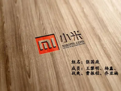 小米团队成功案例分析