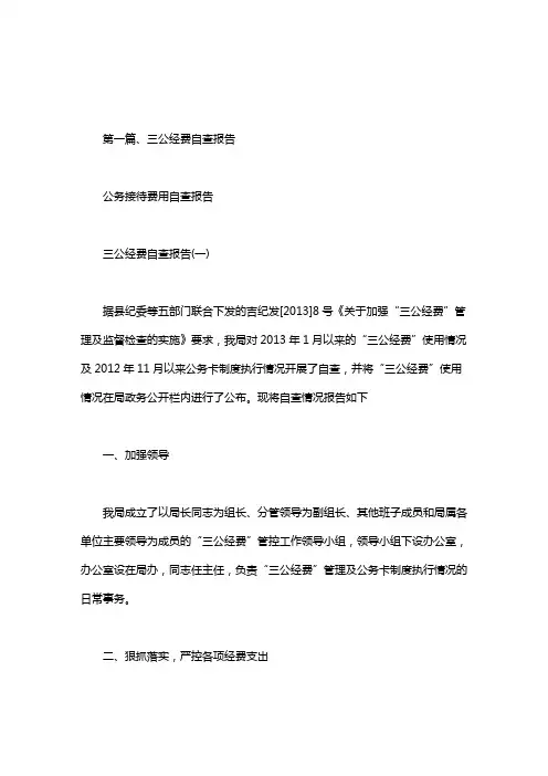公务接待费用自查报告.doc