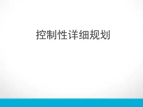 控制性详细规划