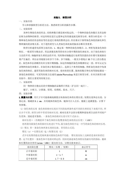 核型分析