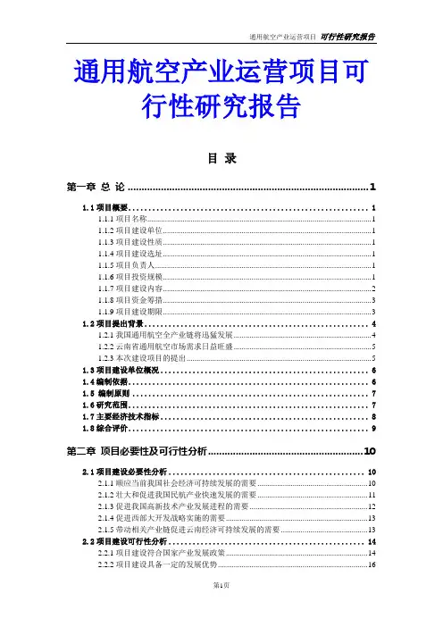 通用航空产业运营项目可行性研究报告