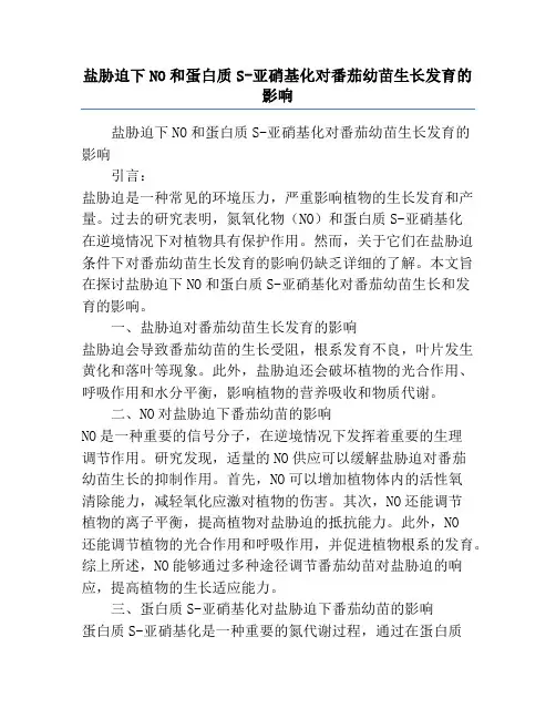 盐胁迫下NO和蛋白质S-亚硝基化对番茄幼苗生长发育的影响