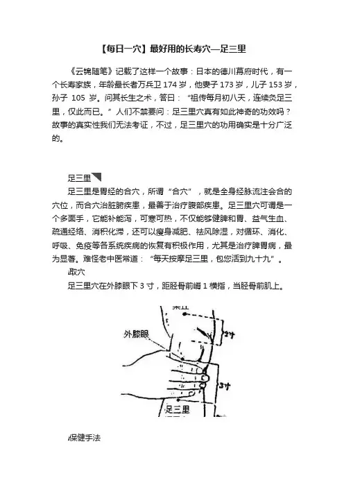 【每日一穴】最好用的长寿穴—足三里