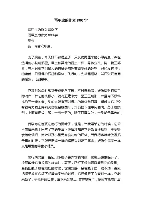 写甲虫的作文800字