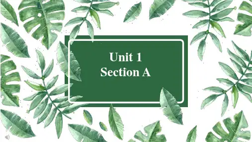 Unit1wheredidyougoonvacation全单元课件PPT
