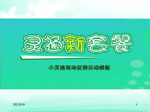 《促销执行方案》PPT课件