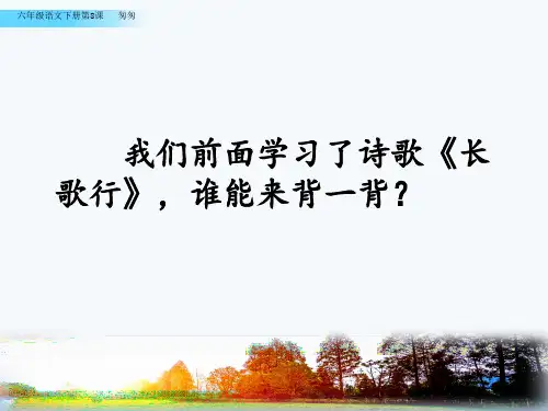 2020部编新人教版六年级语文下册8 匆匆【优质课件】