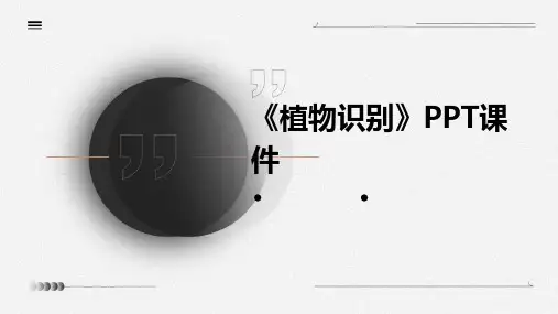 《植物识别》课件