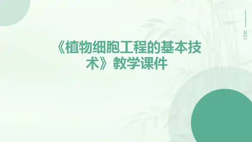 《植物细胞工程的基本技术》教学课件