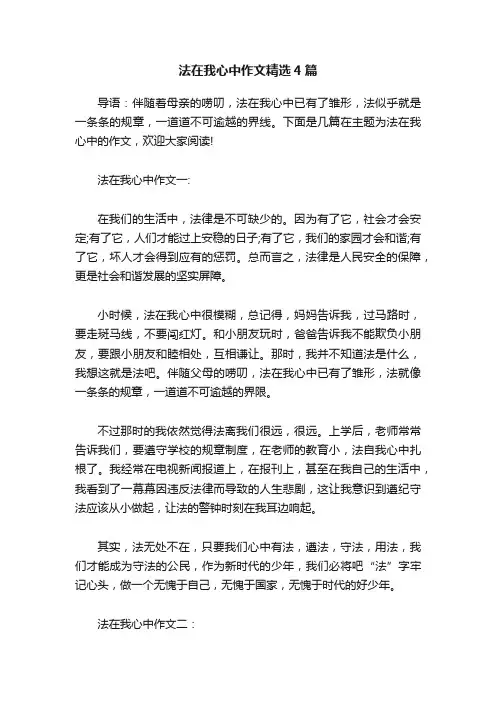 法在我心中作文精选4篇