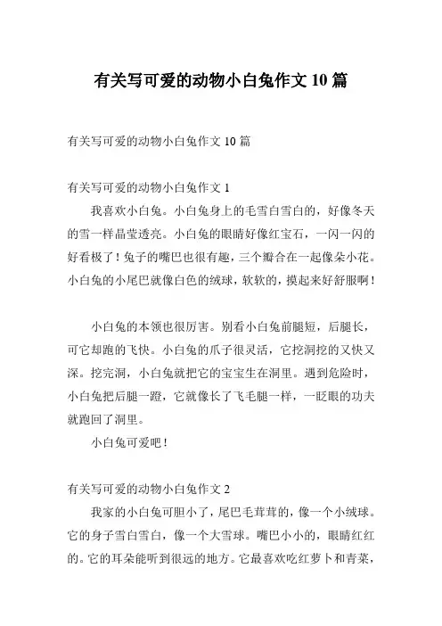 有关写可爱的动物小白兔作文10篇