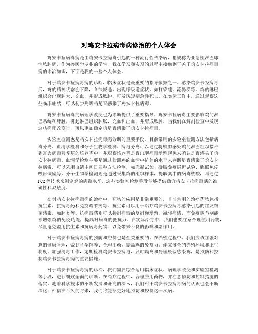 对鸡安卡拉病毒病诊治的个人体会