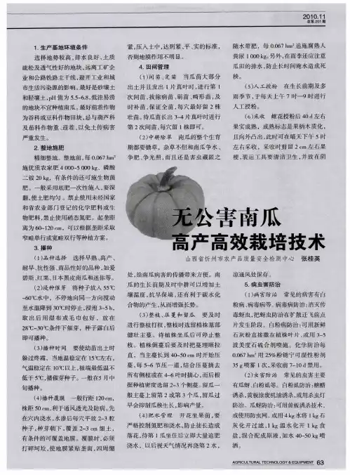 无公害南瓜高产高效栽培技术