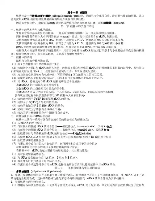 第十一章 核糖体