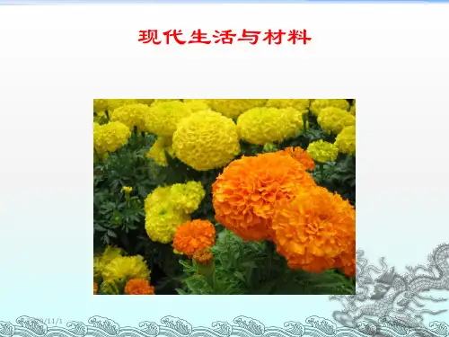 《生活中的材料》PPT课件
