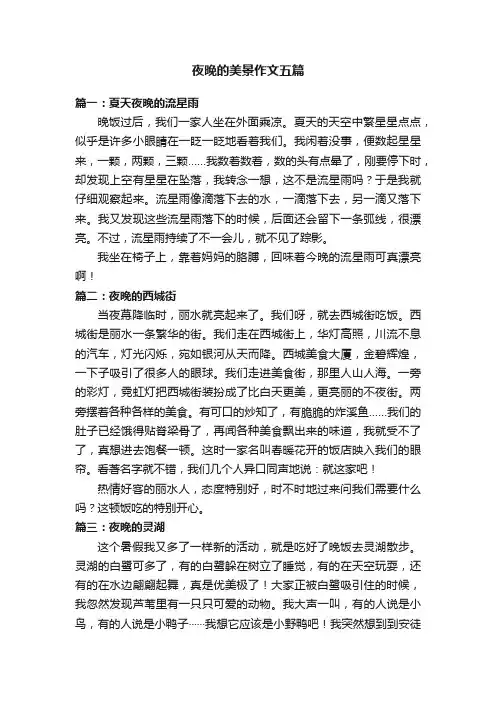 夜晚的美景作文五篇