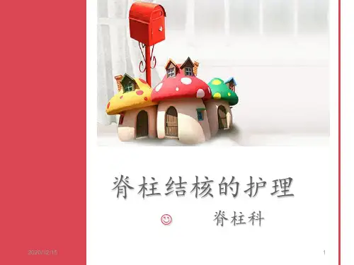 脊柱结核的护理 ppt课件