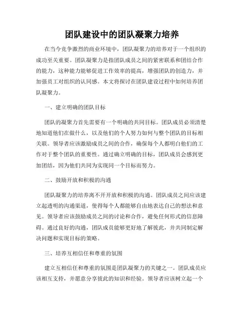 团队建设中的团队凝聚力培养
