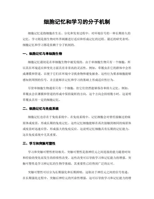 细胞记忆和学习的分子机制