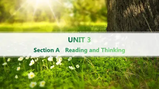人教版高中英语选择性必修第一册 UNIT 3 FASCINATING PARKS Section A