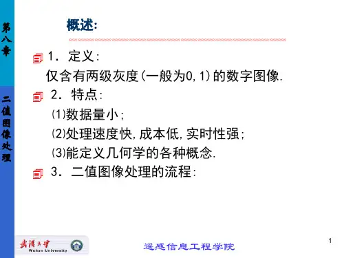 二值图像