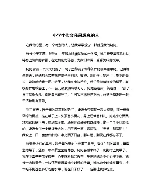 小学生作文我最想念的人