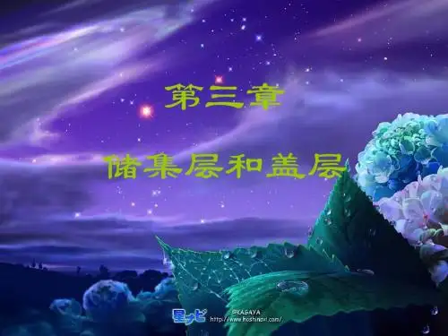 石油地质学- 第三四章(讲课)