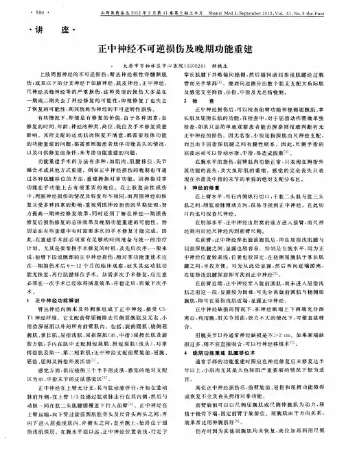 正中神经不可逆损伤及晚期功能重建