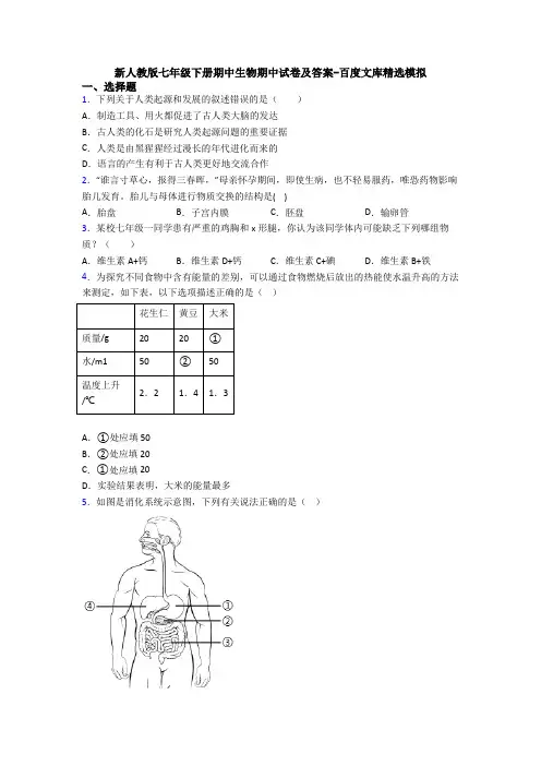 新人教版七年级下册期中生物期中试卷及答案-百度文库精选模拟
